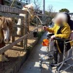 Thumbnail of new posts 168