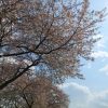 Thumbnail of new posts 025
