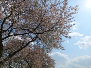 Thumbnail of post image 136