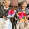 Thumbnail of new posts 025