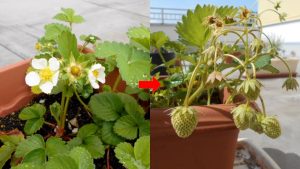 Thumbnail of post image 044