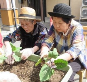 Thumbnail of post image 000
