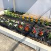 Thumbnail of new posts 047
