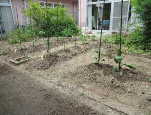 Thumbnail of post image 088