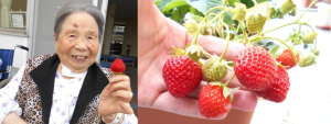 Thumbnail of post image 030
