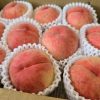Thumbnail of new posts 018
