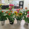 Thumbnail of new posts 042