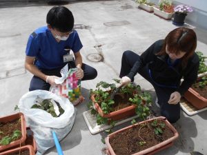 Thumbnail of post image 010