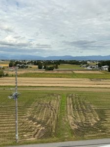 Thumbnail of post image 137