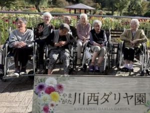 Thumbnail of post image 186