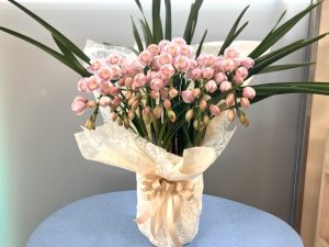 Thumbnail of post image 135